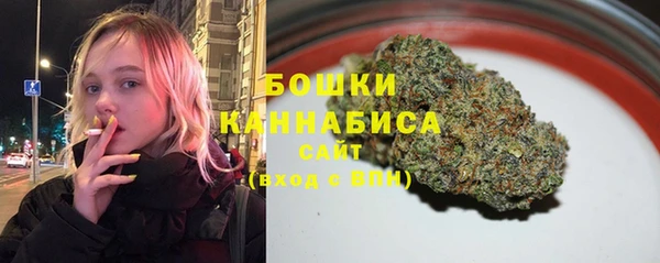 ГАЛЛЮЦИНОГЕННЫЕ ГРИБЫ Богданович