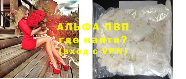 ГАЛЛЮЦИНОГЕННЫЕ ГРИБЫ Богданович