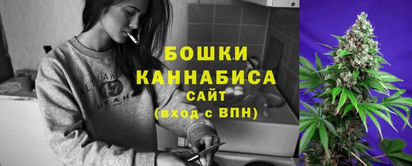 ГАЛЛЮЦИНОГЕННЫЕ ГРИБЫ Богданович