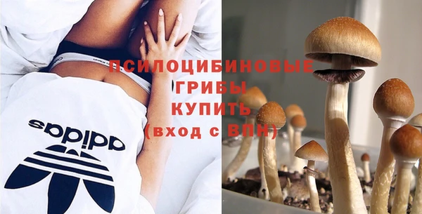 ГАЛЛЮЦИНОГЕННЫЕ ГРИБЫ Богданович