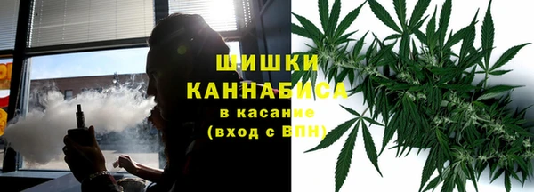 ГАЛЛЮЦИНОГЕННЫЕ ГРИБЫ Богданович