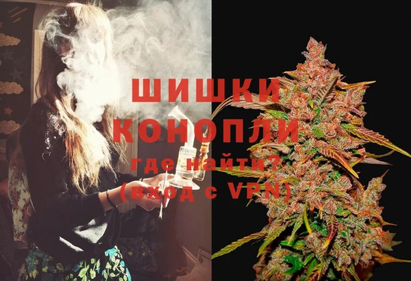 ГАЛЛЮЦИНОГЕННЫЕ ГРИБЫ Богданович