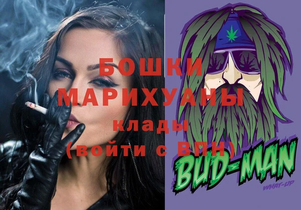 ГАЛЛЮЦИНОГЕННЫЕ ГРИБЫ Богданович